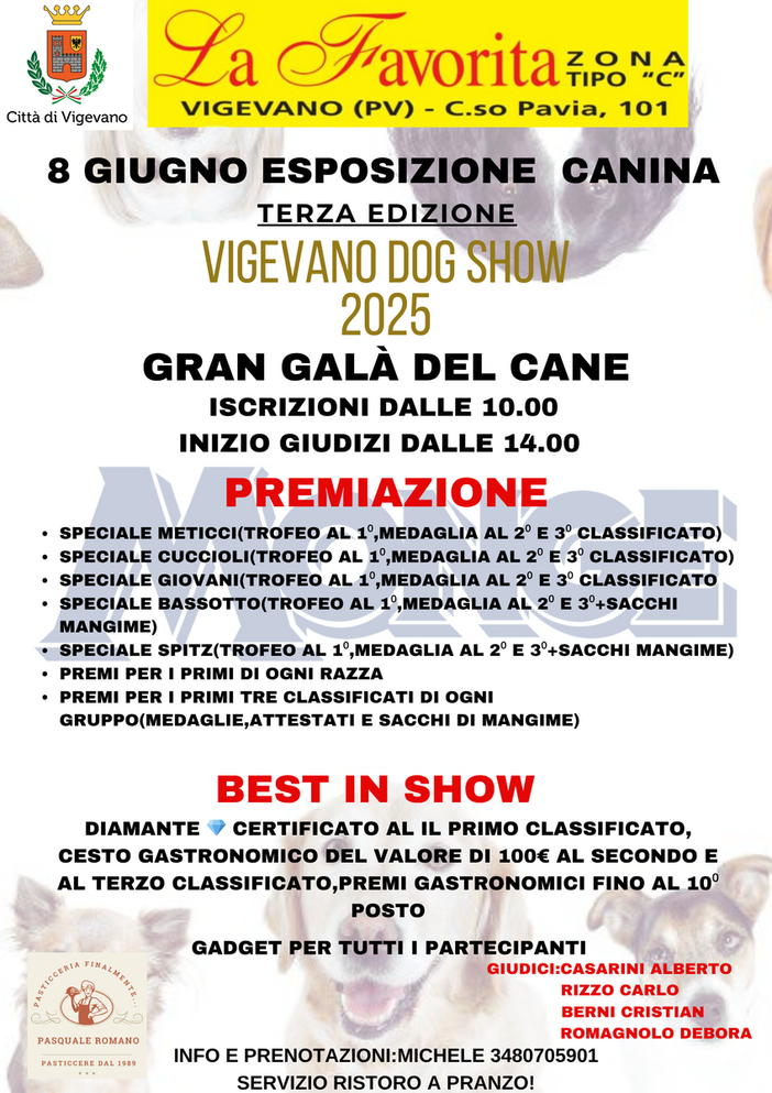 3° edizione del "Vigevano Dog Show" 3° edizione del "Vigevano Dog Show"