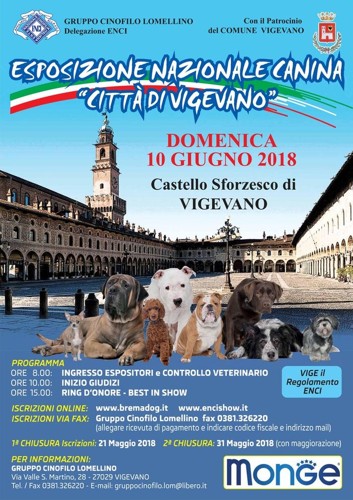 Vigevano: Tutto pronto al Castello Sforzesco per l'esposizione nazionale canina
