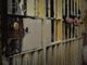 &quot;Meglio in carcere che sole a casa&quot;, la scelta delle donne anziane in Giappone