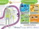 World Hormone Day, AME accende i riflettori sugli interferenti endocrini