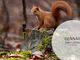 57 fotografi, 18 classi: è un successo il concorso fotografico indetto dal parco del Ticino