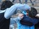 Abbiategrasso, le minacce terribili della baby gang: “Dammi i soldi se no ti accoltello” e “Facevi il Totò Riina a scuola, tira fuori i c. adesso!”