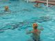Pallanuoto, successo in amichevole per la under 17 dell'H2Sport Vigevano Pallanuoto, successo in amichevole per la under 17 dell'H2Sport Vigevano