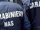 Controlli ad Abbiategrasso di Carabinieri e Nas: 50 identificati, 3 denunciati, 2 pub sanzionati