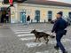 Controlli a tappeto dei Carabinieri nel centro cittadino di Pavia. Sanzionato anche un esercizio commerciale
