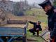 Oltrepò, denunciato dai Carabinieri per furto aggravato e ricettazione