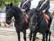 Varzi, Carabinieri a cavallo alla fiera Varzi, Carabinieri a cavallo alla fiera