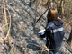 Oltrepò, incendio boschivi in Alta Valle Staffora: denunciato un 69enne Oltrepò, incendio boschivi in Alta Valle Staffora: denunciato un 69enne