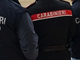 Vigevano, i carabinieri scoprono una pensione per cani abusiva: scatta il sequestro e 3mila euro di multa