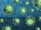 Coronavirus, identificato un anticorpo monoclonale che bloccherebbe il virus