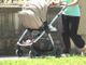 Nuovo bonus baby sitter, domande da Giugno