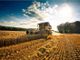 Anticipo Pac, Agricoltura. Rolfi: 160 milioni di euro a oltre 15 mila aziende agricole lombarde