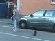 Milano: i carabinieri forestali sequestrano un procione detenuto come animale da compagnia. Denunciata la proprietaria