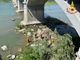 Donna precipita dal ponte sul Po, i soccorsi dei Vigili del fuoco - FOTO E VIDEO