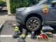 Gatto incastrato nel motore dell’auto a Cisliano salvato dai Vigili del Fuoco