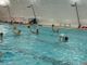 Pallanuoto, due vittorie e una sconfitta per le squadre dell'H2Sport Vigevano