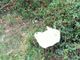(foto da ilSaronno: il sacchetto in cui sono stati abbandonati i cagnolini nel parco)