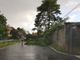 Maltempo sulla Bassa Lomellina, alberi caduti sulle strade, interrotta la Torre Beretti-Castellaro