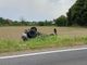 (L'incidente avvenuto sulla provinciale 211 della Lomellina)
