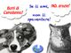 “No ai botti, SI’ ai biscotti”, appello dell’associazione Gaia e decalogo antibotti per cani e gatti