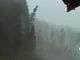 L'ESTATE DEI DOWNBURST - VIDEO. In Cadore a Alto Adige la furia del vento piega e spezza gli alberi come grissini