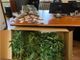Portalbera: fermato per un controllo, i carabinieri gli trovano in casa un laboratorio artigianale di marijuana. Arrestato un 28enne