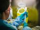 La ricerca contro i tumori rari guidata da IRCCS Maugeri Pavia, premiata a Palazzo Lombardia dalla fondazione regionale per la ricerca biomedica