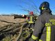 Mortara: cade un albero sulla linea elettrica in via Maestra, intervengono i Vigili del fuoco