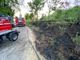 Pieve del Cairo: a fuoco un tratto di ciglio stradale sulla provinciale 28