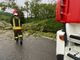 Alagna: albero cade sulla provinciale, intervengono i Vigili del fuoco
