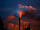 WWF Lodigiano &amp; Pavese contro il quadruplicamento di un inceneritore in Lomellina