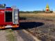 In fiamme un campo di grano lungo la A9: il fumo invade l'autostrada e rallenta il traffico