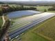 Clima, Coldiretti Pavia: stop al fotovoltaico mangiasuolo