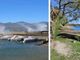 VIDEO e FOTO. Le folate di vento sferzano il lago Maggiore, albero sradicato ad Angera