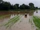 Maltempo: forti piogge nel Varesotto, esondato il fiume Olona