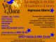 Vigevano: 1° edizione di &quot;Viva il Duca - la magica notte di Ludovico il Moro&quot;