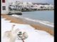 FOTO. Che beffa: neve a Mykonos e da noi ancora nulla dall'8 dicembre...