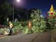 L'albero di 20 metri crollato a Milano per il maltempo