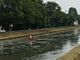 Naviglio Pavese: mezzi al lavoro per tagliare le piante acquatiche