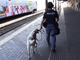 Stazioni Sicure: aderisce anche il comune di Pavia