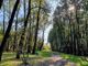 A Pavia il WWF organizza una passeggiata nel Parco della Vernavola