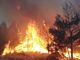 Incendi, l’allarme della Coldiretti, +153% in Italia