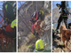 Due cani bloccati sul costone della montagna. Li salva l'elicottero dei vigili del fuoco di Malpensa