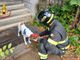 Cane rimasto solo in casa dopo il ricovero della proprietaria salvato dai vigili del fuoco a Busto