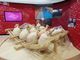 Tour online dal Museo Archeologico città di Vercelli