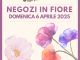 Al via l'iniziativa &quot;Vigevano c'è&quot;, negozi aperti in centro ogni prima domenica del mese