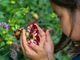 Da Viridea tornano i laboratori di natura per bambini