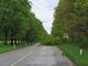 Maltempo: crolla un albero e blocca la strada che da Inveruno porta a Cuggiono