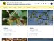 Parco del Ticino, ecco il primo portale (italiano) sulla biodiversità