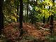 Ora i boschi del Parco Ticino hanno il marchio FSC